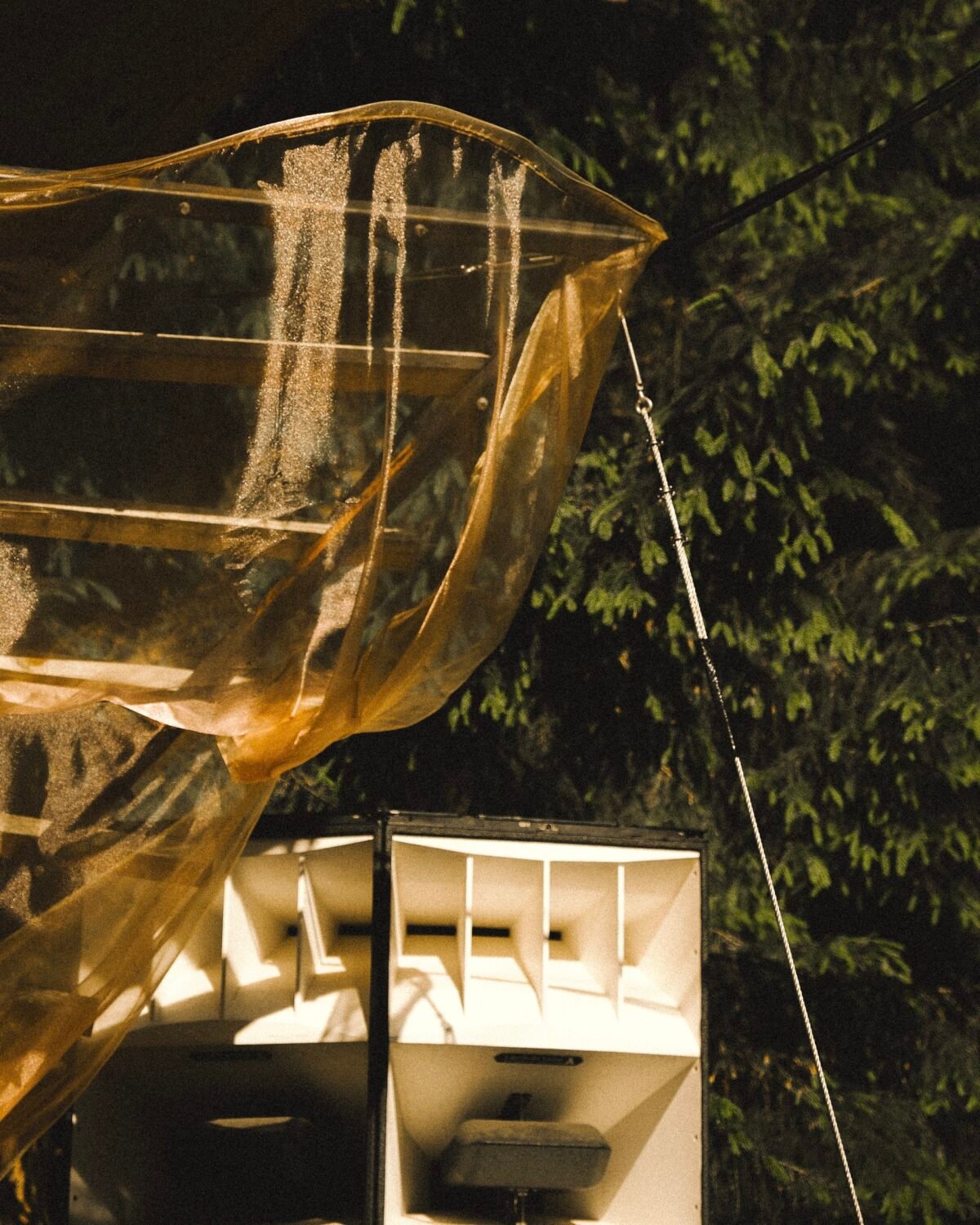 UNCOVERS: La Nature and its hidden harmonies