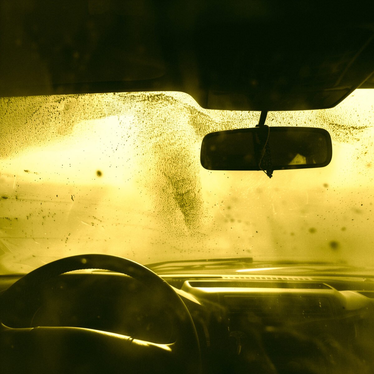 Sam Sala: l’invisibile che sostiene la forma