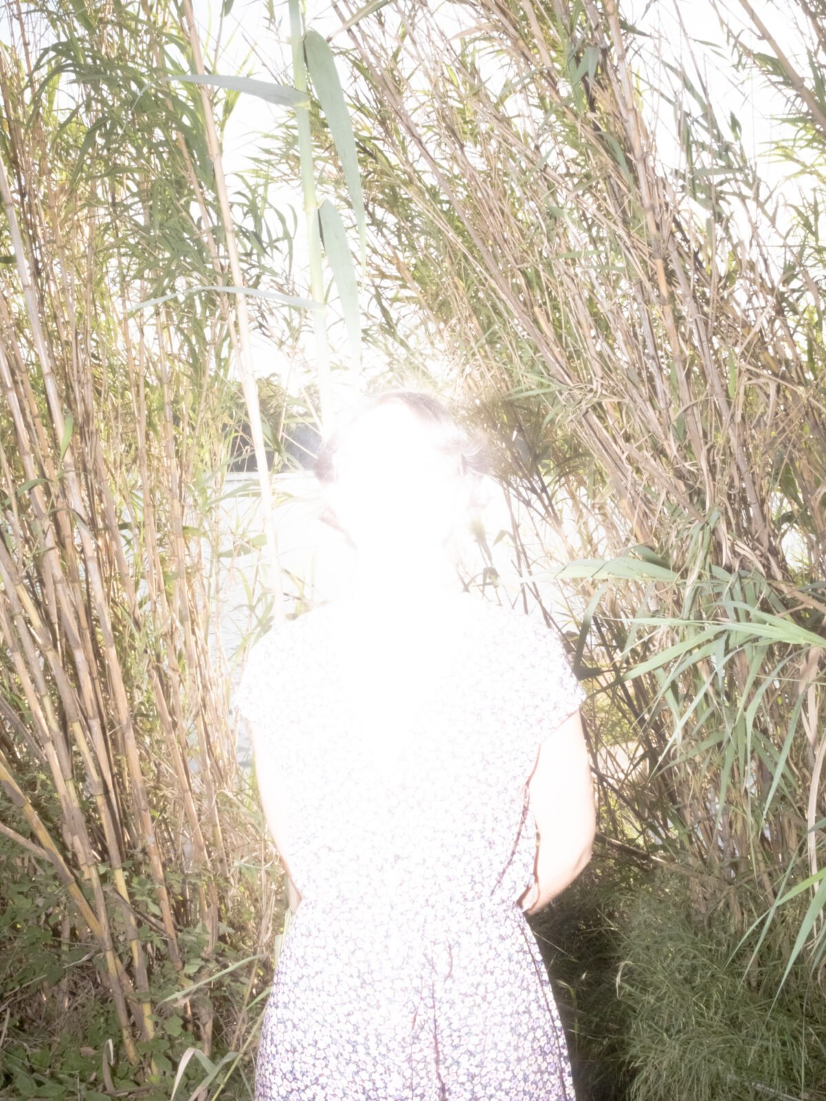 IN FOCUS: ADI | NATURALIS FESTIVAL