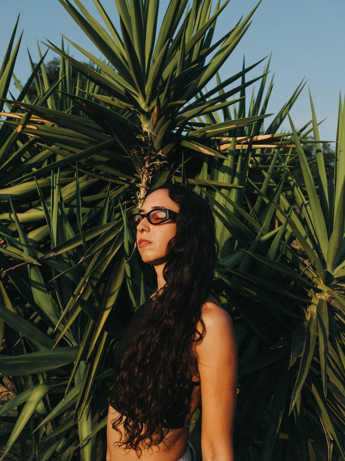IN FOCUS: LUMIÉRE | LOUD GARDEN